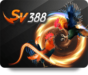 VSBET Xổ Số May Mắn Có Thực Sự May Mắn Không?